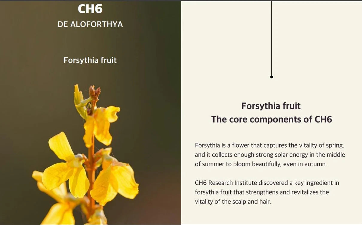 Organic Kalwanji Shampoo (CH6)